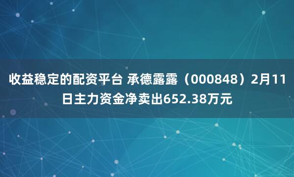 收益稳定的配资平台 承德露露（000848）2月11日主力资金净卖出652.38万元