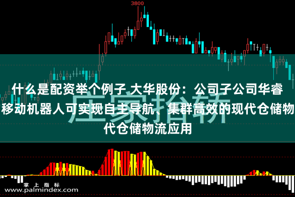 什么是配资举个例子 大华股份：公司子公司华睿科技的移动机器人可实现自主导航、集群高效的现代仓储物流应用