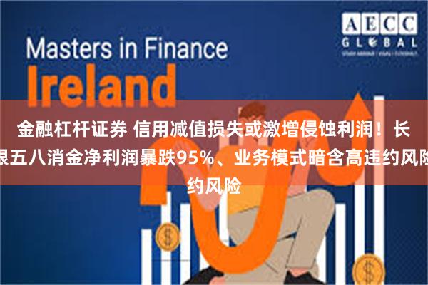 金融杠杆证券 信用减值损失或激增侵蚀利润！长银五八消金净利润暴跌95%、业务模式暗含高违约风险