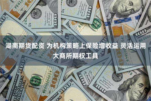 湖南期货配资 为机构策略上保险增收益 灵活运用大商所期权工具