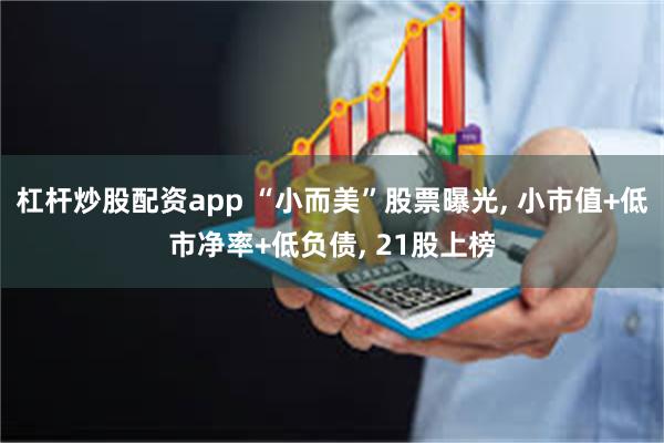 杠杆炒股配资app “小而美”股票曝光, 小市值+低市净率+低负债, 21股上榜