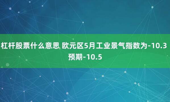 杠杆股票什么意思 欧元区5月工业景气指数为-10.3 预期-10.5