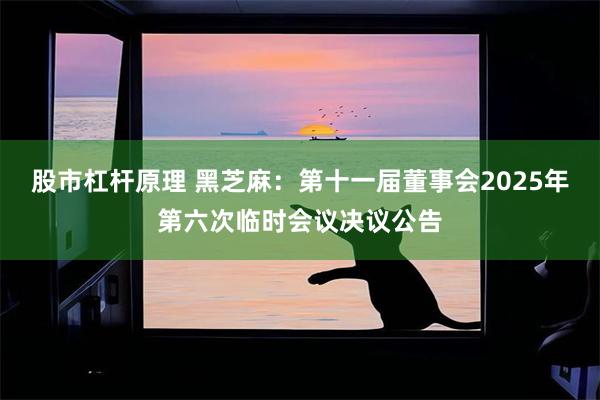 股市杠杆原理 黑芝麻：第十一届董事会2025年第六次临时会议决议公告
