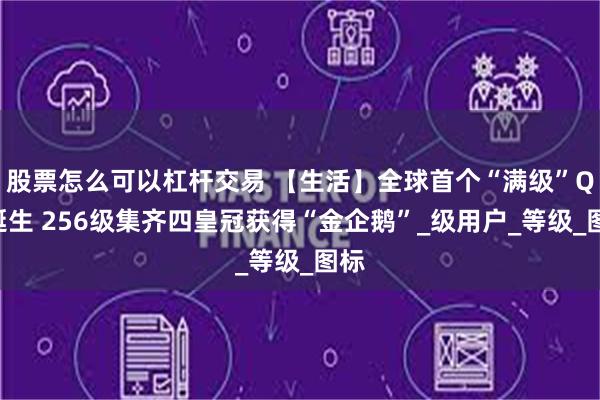 股票怎么可以杠杆交易 【生活】全球首个“满级”QQ诞生 256级集齐四皇冠获得“金企鹅”_级用户_等级_图标