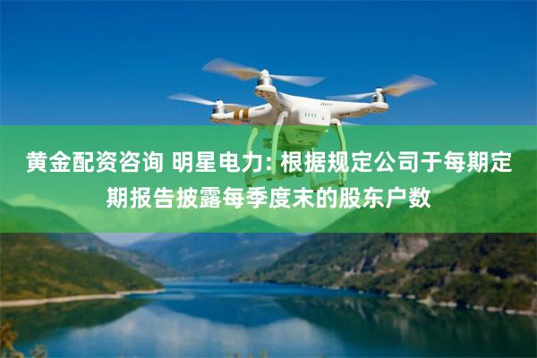 黄金配资咨询 明星电力: 根据规定公司于每期定期报告披露每季度末的股东户数