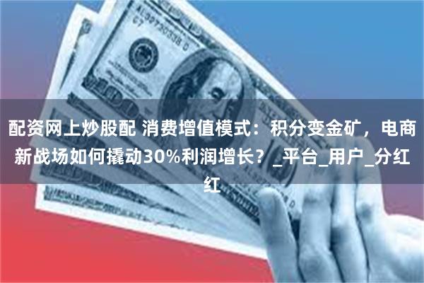 配资网上炒股配 消费增值模式：积分变金矿，电商新战场如何撬动30%利润增长？_平台_用户_分红