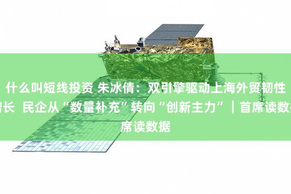 什么叫短线投资 朱冰倩：双引擎驱动上海外贸韧性增长  民企从“数量补充”转向“创新主力”︱首席读数据