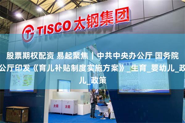 股票期权配资 易起聚焦｜中共中央办公厅 国务院办公厅印发《育儿补贴制度实施方案》_生育_婴幼儿_政策