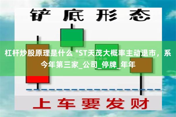 杠杆炒股原理是什么 *ST天茂大概率主动退市，系今年第三家_公司_停牌_年年