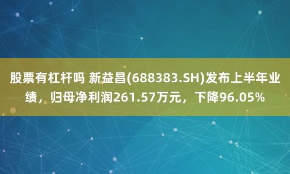 股票有杠杆吗 新益昌(688383.SH)发布上半年业绩，归母净利润261.57万元，下降96.05%