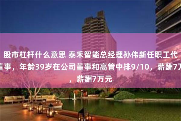 股市杠杆什么意思 泰禾智能总经理孙伟新任职工代表董事，年龄39岁在公司董事和高管中排9/10，薪酬7万元