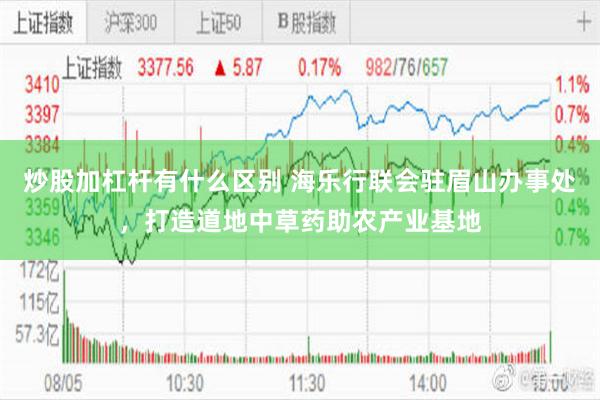 炒股加杠杆有什么区别 海乐行联会驻眉山办事处，打造道地中草药助农产业基地